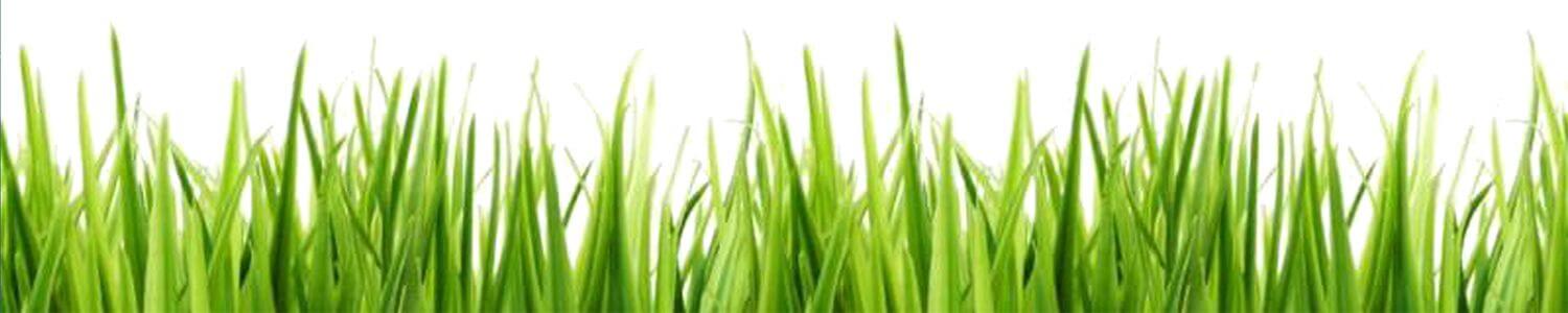Footer newsletter march 18 Footer newsletter march 18