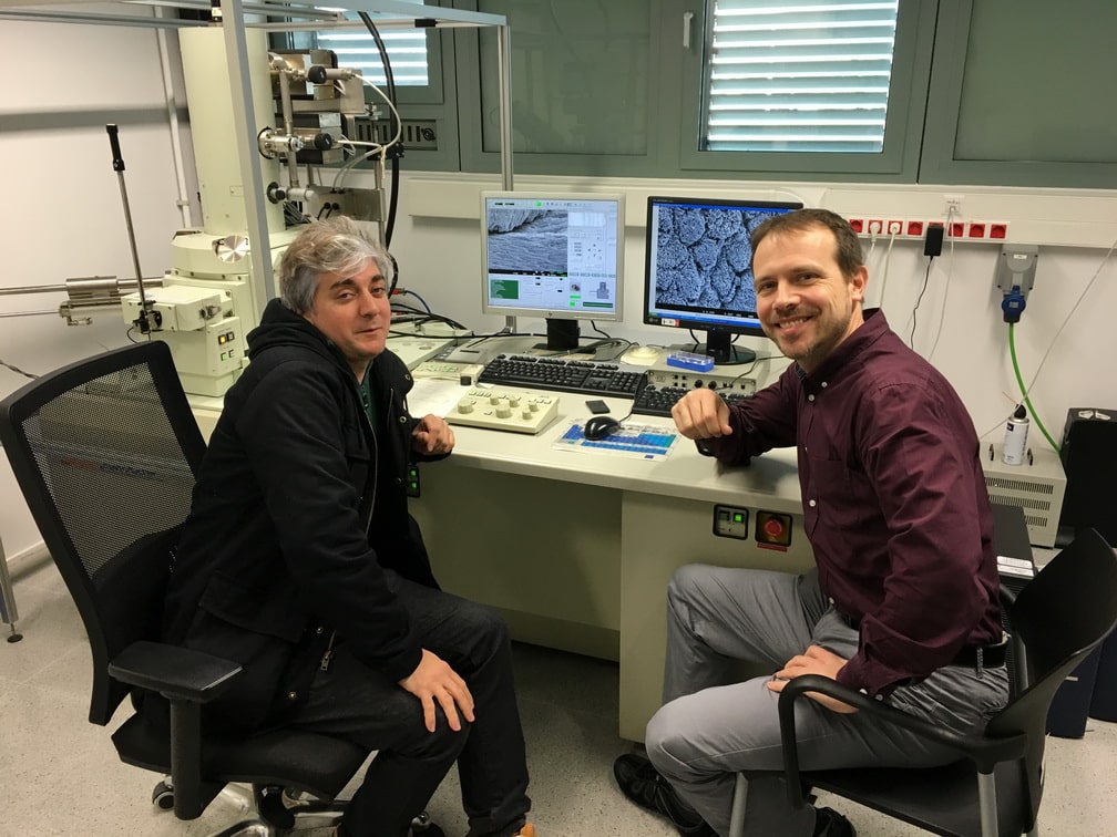 Studies with high-definition electron microscopy at the Polytechnic University of Catalonia Studies with high-definition electron microscopy at the Polytechnic University of Catalonia